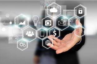 大数据处理的智慧之道 80%的人尚未触及的服务与策略